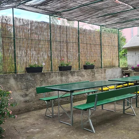 Three Olive Trees - Okrug, Ciovo Dalmatia Apartment Trogir