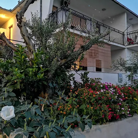 Apartman Three Olive Trees - Okrug, Ciovo Trogir