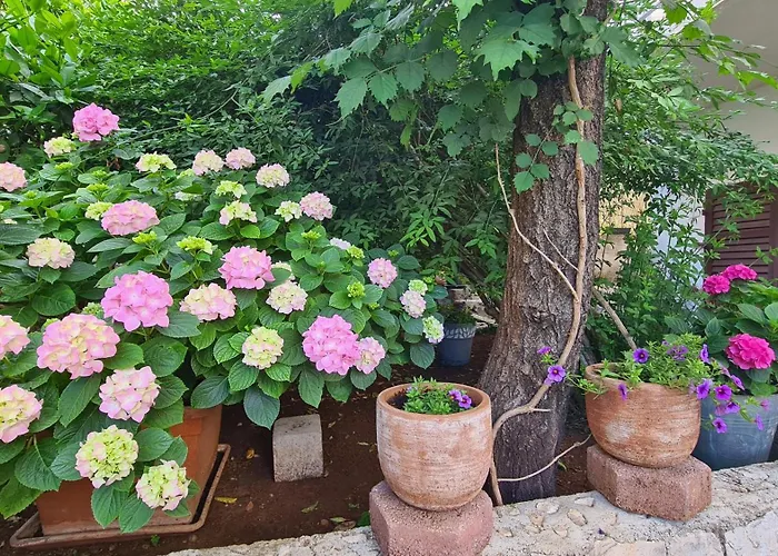 Three Olive Trees - Okrug, Ciovo Dalmatia Apartment