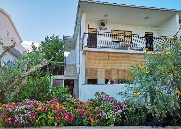 Apartment Three Olive Trees - Okrug, Ciovo Dalmatia *