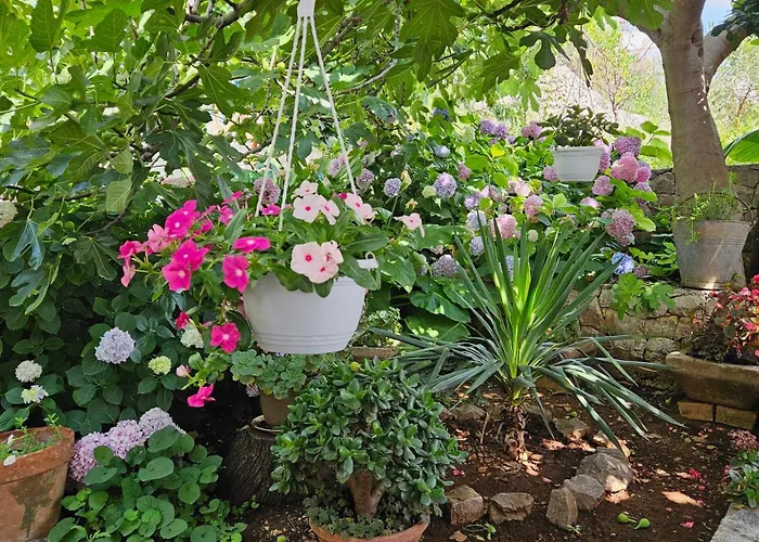 Three Olive Trees - Okrug, Ciovo Dalmatia Apartment