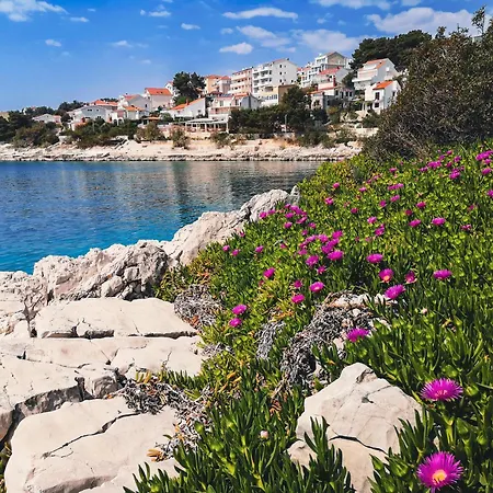 Three Olive Trees - Okrug, Ciovo Dalmatia