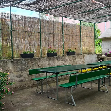 Three Olive Trees - Okrug, Ciovo Dalmatia Apartment *
