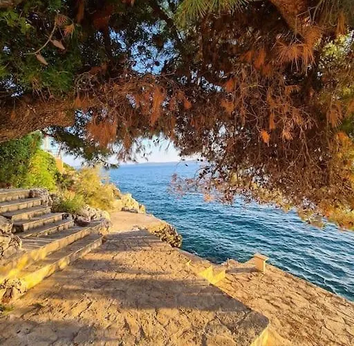 Three Olive Trees - Okrug, Ciovo Dalmatia * 特罗吉尔